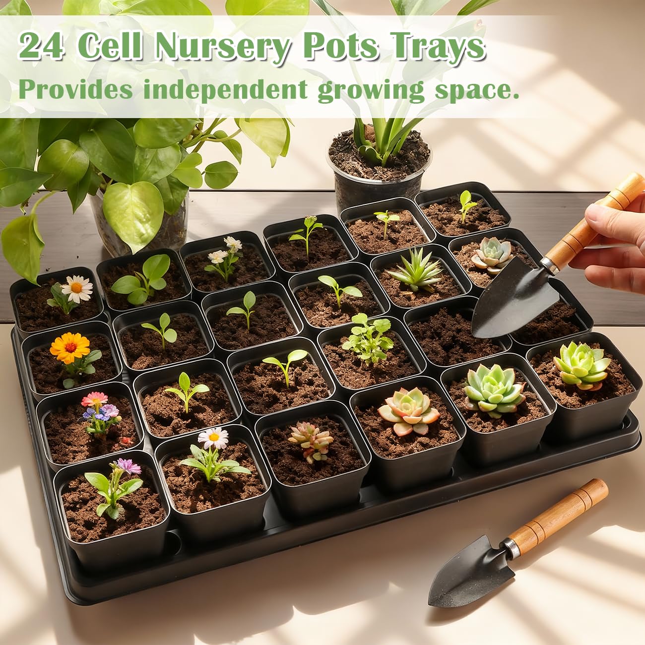 RooTrimmer 5 Pack 24 Cell Nursery Pots Trays with 2.8 inch (7CM) Square Nursery Pots 120pcs (Black), Plastic Seed Starter Tray with Drain Holes for Carrying and Holding Plant Pot(17"x11"x1.6")