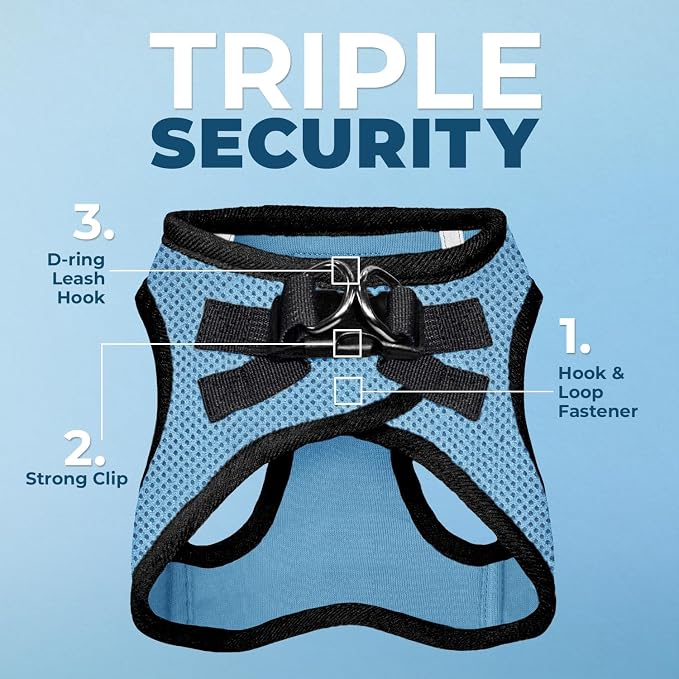 Best Pet Supplies Voyager Step-in Air All Weather Mesh Harness and Reflective Dog 5ft Leash Combo with Neoprene Handle, for Small, Medium and Large Breed Puppies - Baby Blue/Black Trim, Small