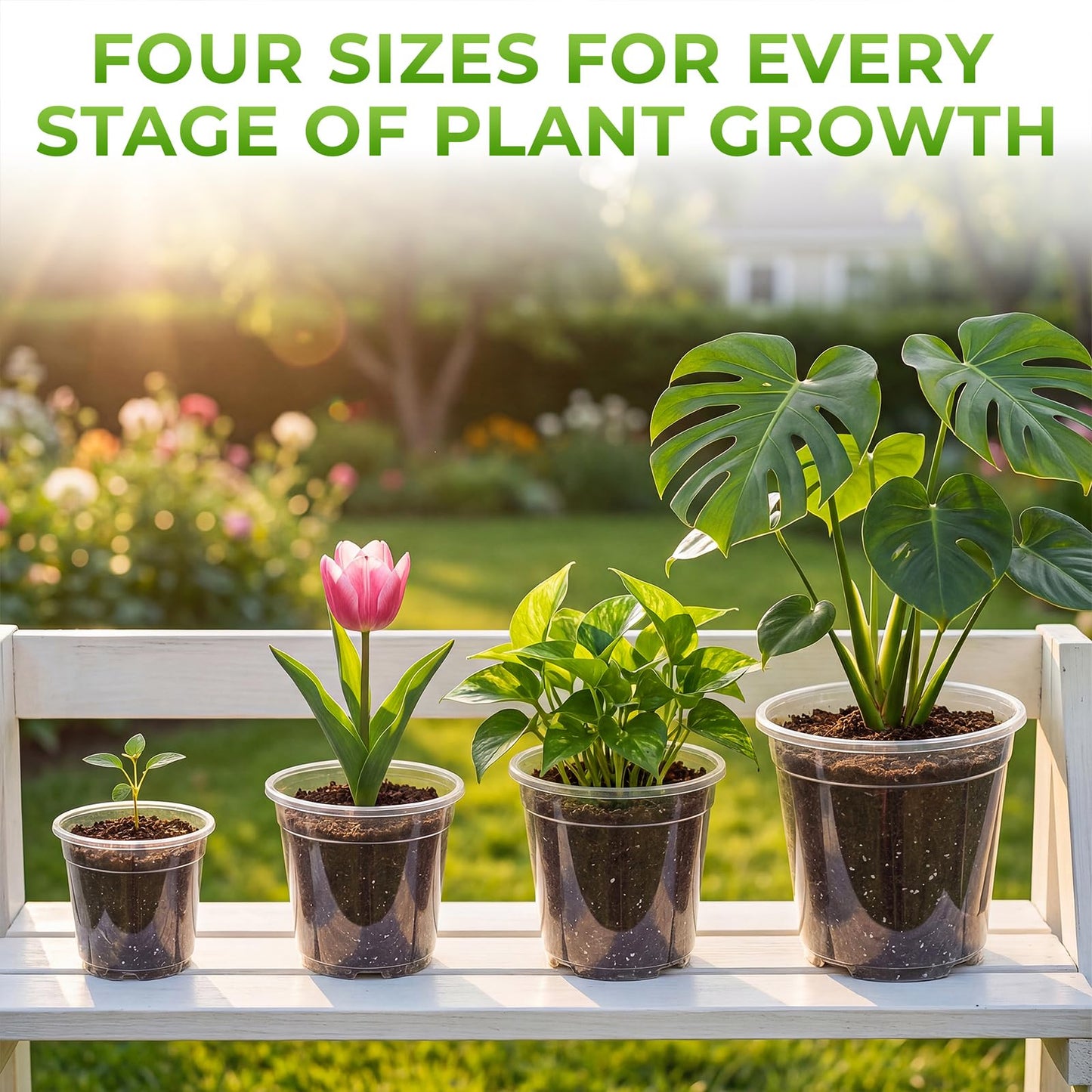 MeiVista 8 Pack Clear Nursery Pots with Drainage Holes, 5/6/6.7/7.5 Inch Sturdy Transparent Plastic Planters for Indoor & Outdoor, Includes 10 Labels, Ideal for Seed Starting and Planting
