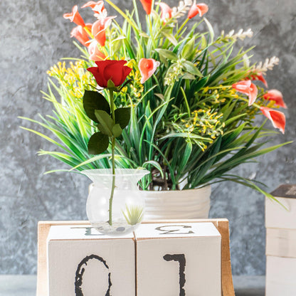 Ipetboom 4pcs Glass Flower Vase Set, Hydroponic Plant Container, Modern Minimalist Table Centerpiece Terrarium Holders for Home Décor and Small Green Plants