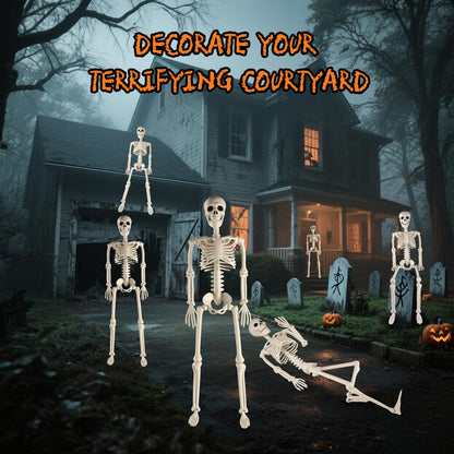 2 Pack 36" Halloween Skeleton, 3 ft Human Skeleton Full Body Posable Joints Plastic Skeleton for Halloween Decoration, Yard Patio Lawn Garden Skeleton Spooky Party Decoration Indoor Outdoor