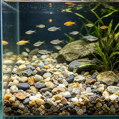 10LB Decorative River Rocks Gravel -2/5/'' Mixed Color Gravel for Vase Filling, Flower Pot Paving. Gravel for Garden Decoration,Landscaping,Aquarium Aquascape Gravel, Fish Tanks Gravel.