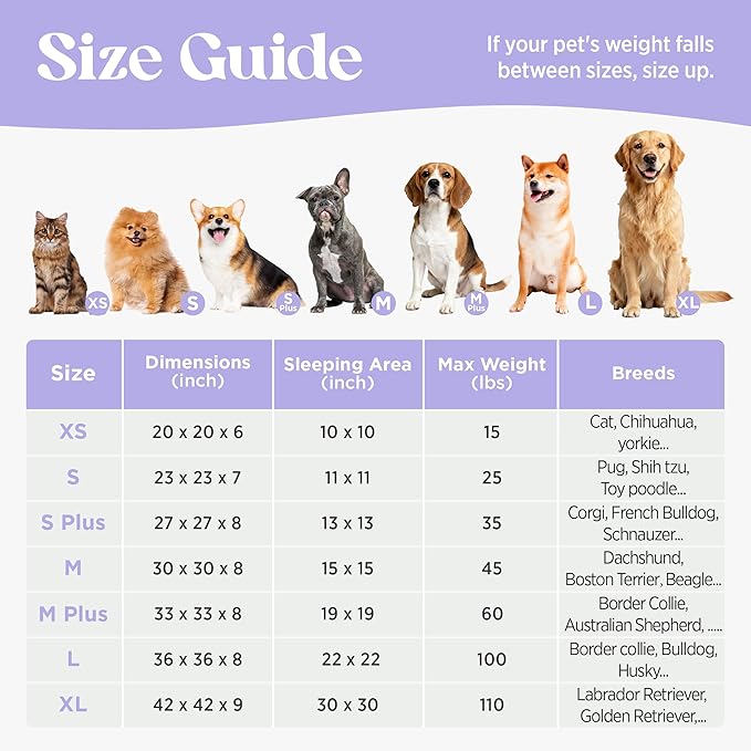 LE SURE Donut Small Dog Bed - Round Cat Beds for Indoor Cats Anti-Anxiety Calming Gift for Pets, Washable Cute Modern Beds with Jacquard Shaggy Plush & Anti Slip Bottom, 23 Inch, Ice Melt