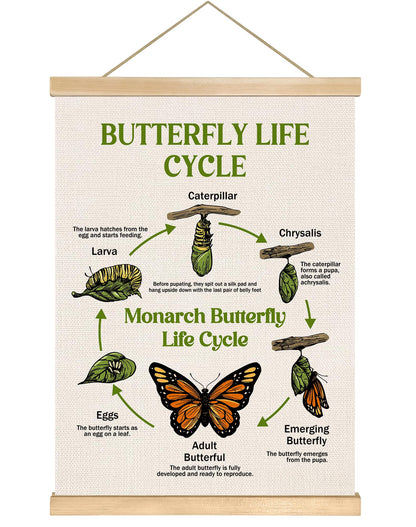 Butterfly Life Cycle Educational Wall Art,14x18.5Inch Insect Life Cycle Chart Wall Hanging Canvas Poster, Butterfly Science Learning Posters for Classroom Nursery Homeschool,Kids Room Decor (Green)