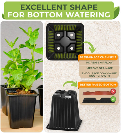CARPATHEN 60Pack Square Nursery Pots - 3.5 Inch Seedling Plant Pot with Drainage Holes - 1020 Tray Optimized - Reusable Sturdy Seed Starter Pots for Flowers, Vegetables, Greens