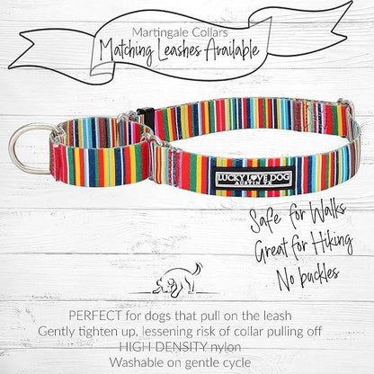 Lucky Love Dog Martingale Dog Collar & Leash - Adjustable, No-Slip, Durable, Comfortable, Soft Webbing, & Stylish Patterned Collar & Leash Set for Male and Female Dogs - Hippie Combo, Medium