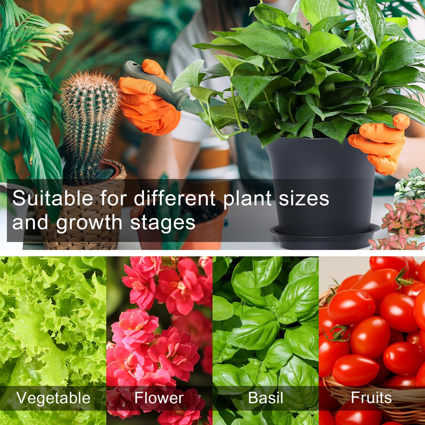 Oliz Planter Pots 8 Packs, 7.2 Inches Flower Pots with Drainage Holes & Trays, Ideal for Succulents, Herbs, Flower, African Violet, Garden Plant Pots for Home Garden Kitchen Decor (Dark Grey-2)