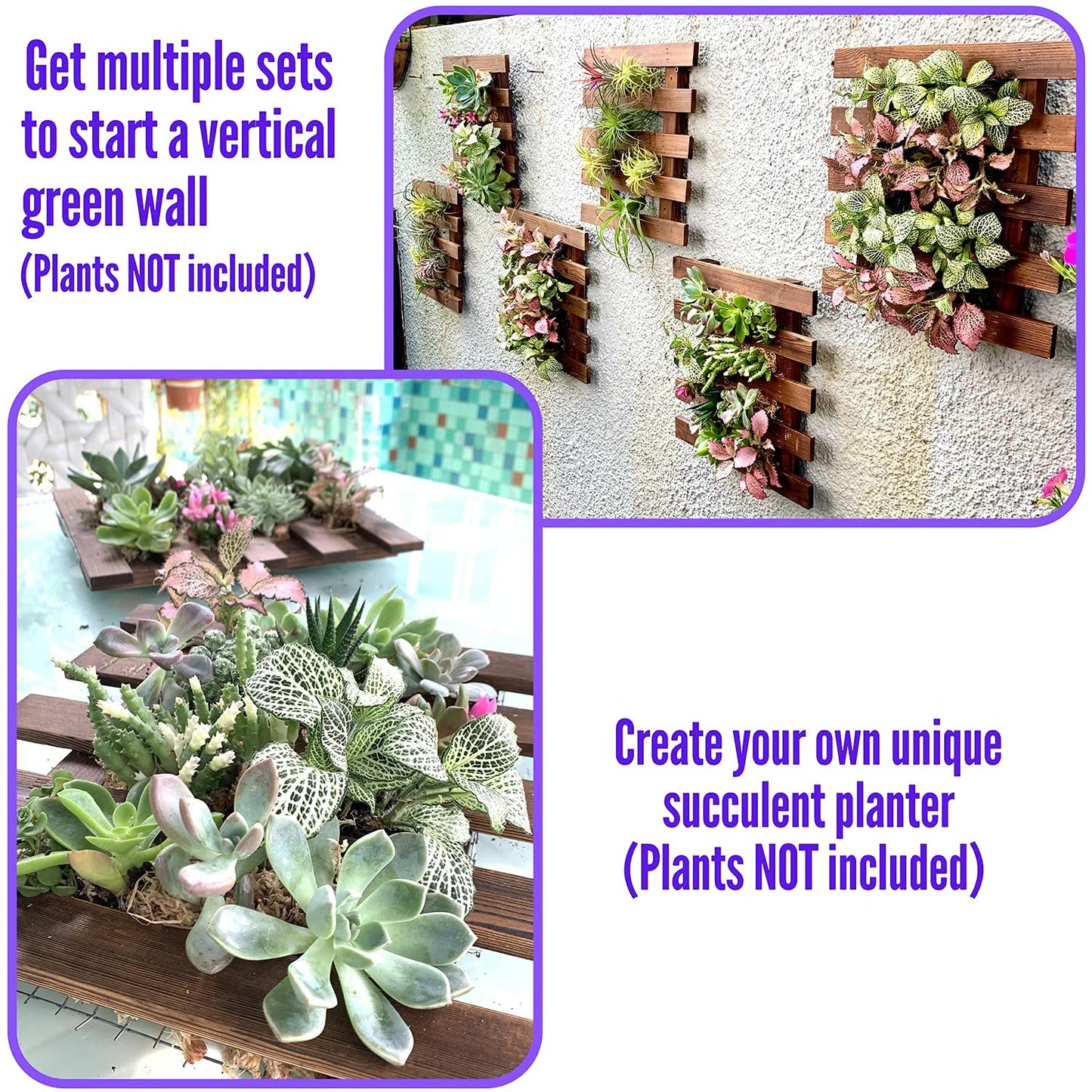 LalaGreen Bundle - 4" x 10 Pack Self Watering Plastic Pot + 4 Pack Wooden Orchid Hanging Planters for Indoor Plants, Wall Mount Plant Stand Ladder, Outdoor Vertical Garden Modern Hydroponic
