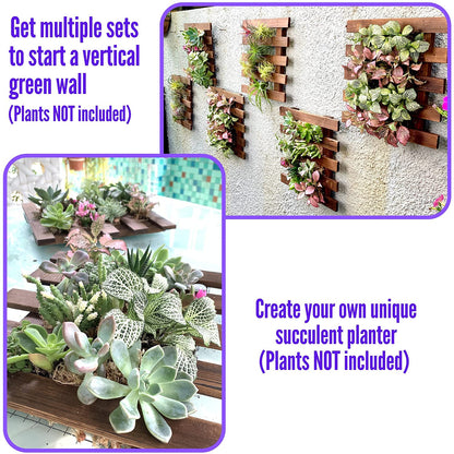 LalaGreen Bundle - 4" x 10 Pack Self Watering Plastic Pot + 4 Pack Wooden Orchid Hanging Planters for Indoor Plants, Wall Mount Plant Stand Ladder, Outdoor Vertical Garden Modern Hydroponic