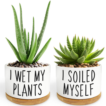 2 Pack I Wet My Plants - Funny Ceramic Planter Pot with Drainage, Cactus Pot, Cute Succulent Pots,Aloe Vera Plant Pot,Funny Plant Gifts for Women, Friends, Coworker