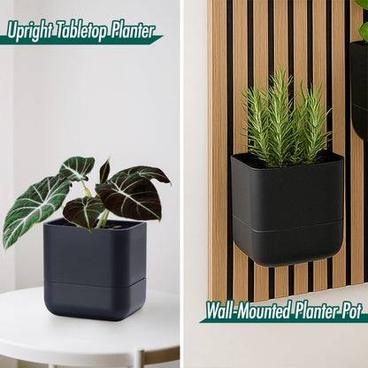 Phoenix Vine 6.5 Inch Wall Mounted Self-Watering Planter Pot for Indoor Houseplants and Herbs | Hanging Planter for Window Sills, Bathroom Walls, Home & Office Décor, Black, Set of 3, 01-C-E-3