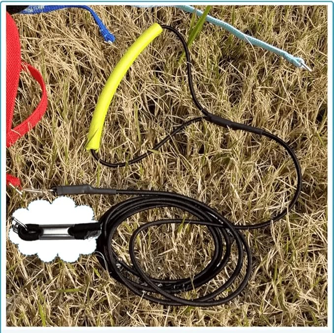 Bird Harness Leash Adjustable Outdoor Training Flying Harness Traction Rope with Cute Wing for Parrots Pigeons Budgerigar Lovebird Cockatiel Mynah (M,Blue)