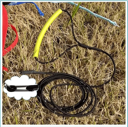 Bird Harness Leash Adjustable Outdoor Training Flying Harness Traction Rope with Cute Wing for Parrots Pigeons Budgerigar Lovebird Cockatiel Mynah (M,Blue)