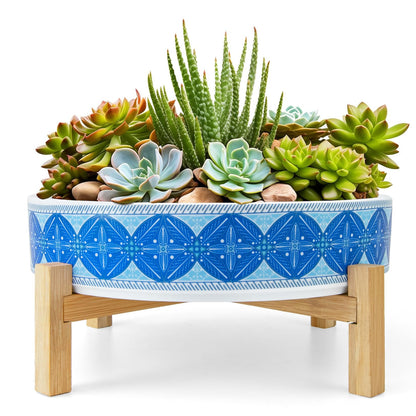 ARTKETTY Succulent Pots - 11 Inch Large Plant Pots Ceramic Bonsai Pots with Drainage Stand, Shallow Succulent Planters for Indoor Plants Decorative Flower Cactus Planter Bowl