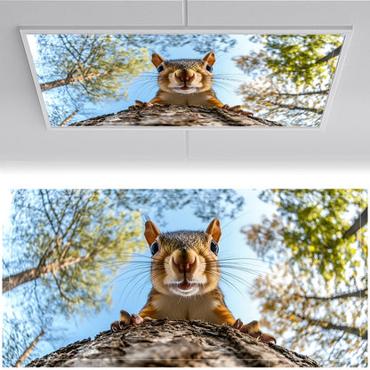 Fluorescent Light Covers for Ceiling Lights-Magnetic,2pcs,Geometric & Stained Glass Designs for Ceiling Lights 2ft x 4ft-For Classroom, Office，Home (Forest Squirrel, 48"L x 24"W-2pcs)