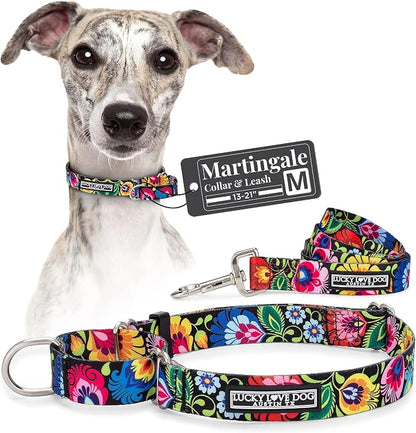 Lucky Love Dog Martingale Dog Collar & Leash - Adjustable, No-Slip, Durable, Comfortable, Soft Webbing, & Stylish Patterned Collar & Leash Set for Male and Female Dogs - Blackbird Combo, Medium