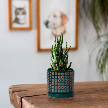 D'vine Dev Set of 2 Ceramic Planter Pots with Drainage Hole and Saucer, 4.5 Inch 6 Inch Plant Pots for Plants Indoor Houseplants, Green, 99-A-4