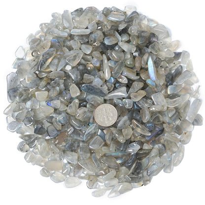 ZenQ 1 lb Gray Moonstone Tumbled Stone Chips Crushed Natural Crystal Quartz Pieces
