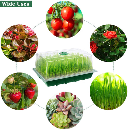 Hahood 6 Packs Seed Starter Tray Kits with Humidity Dome, Plastic Germination Growing Trays with Plants Labels Planting Tools for Seeds Growing Starting, Germination Seedling Propagation, Green