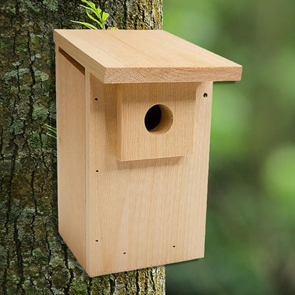 Coveside Basic Western Bluebird Trail Box | Durable Pine Birdhouse with 1.5625" Predator Guarded Entry, Ventilation & Drainage | Eco-Friendly Wooden Nest Box for Bluebirds | Made in USA