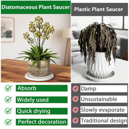 Creproly Plant Saucer Flower Pot Saucers Plant Trays for Pots Instant Dry Diatomaceous Earth Round Plant Drip Trays for Indoors Keeping Counter and Floors Dry and Clean (2pcs White Medium)