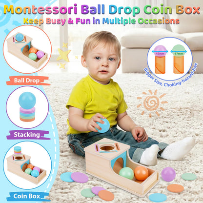 FCSONU Toddlers Montessori Coin Box Toys for 1 2 3 Year Old Boys Girls, Object Permanence Box Ball Drop Toy, Learning Sorting Sensory Toys for Ages 2-3 Kids, 1st Birthday Gifts for Baby 12-18 Months