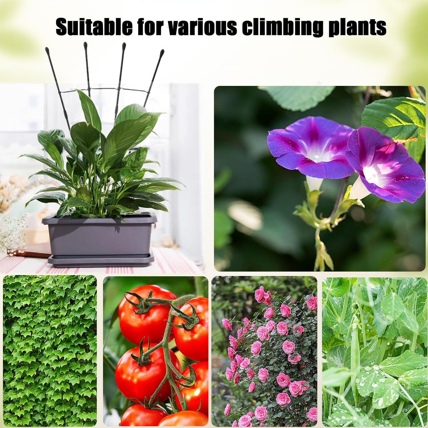 Garden Trellis for Climbing Plants Outdoor & Indoor, 47in Plant Trellis for Vines, Flowers,Tomato cage 3 Shapes Rustproof Plant Support Trellis for Potted Plants,Rose, Cucumber, Pea, Tomato