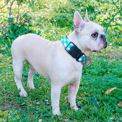 Ladoogo Reflective Dog Collar Padded with Soft Neoprene Breathable Adjustable Nylon Dog Collars for Small Medium Large Dogs (Small (Pack of 1), Vivid Blue Plaid Collar+Leash)
