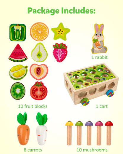 Coogam Montessori Fine Motor Toys for Baby Toddler, Wooden Shape Sorter Carrot Harvest Game for Easter Basket Stuffer, Preschool Learning Educational Gift Toy for 3 4 5 Year Old