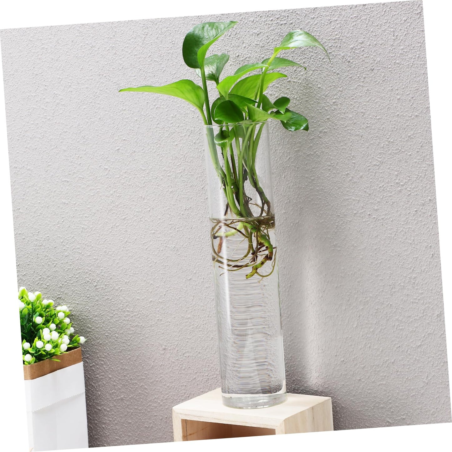 2pcs Clear Glass Cylinder Wall Vases Hanging for Indoor Plants Easy Mounted Flower Tubes Secure Attachment for Floral Arrangements and Terrariums