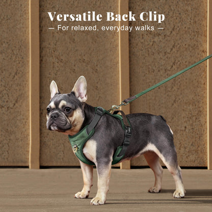 Didog No Pull Dog Harness Small Sized Dog,Classic PU Leather Vest for Small Dogs with Easy Control Handle,No Choke Front Clip,Reflective & Adjustable for Walking,Green,Chest 19-24"