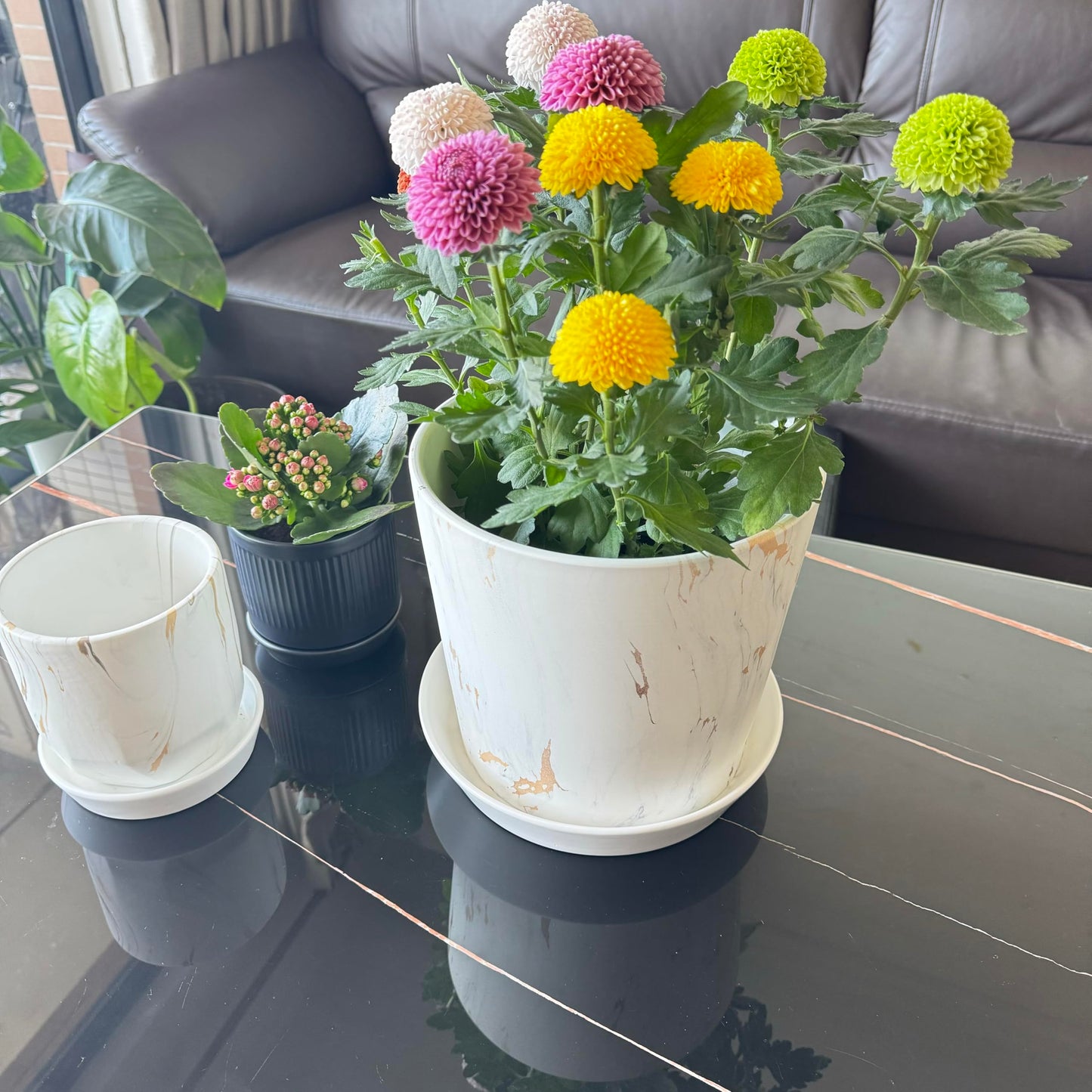 2 Pack Plant Saucer Pot Trays, 4 6 8 10 12 14 15 Inch Plant Saucers Water Catcher Tray for Indoor & Outdoor Planters,Durable Ceramic Plant Tray for Flower Pot （6 inch White）