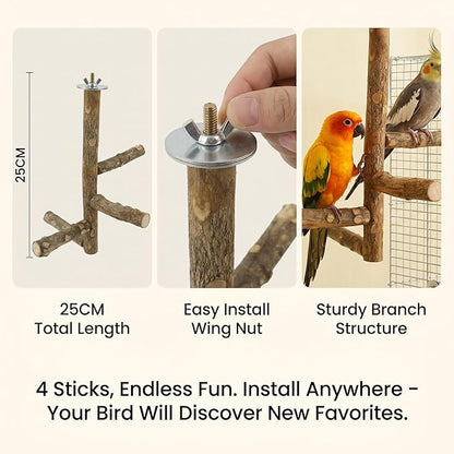 Bird Cage Perches Accessories: Parrot Natural Wooden Perch Set with 4 Standing Sticks - Daily Climbing Rest & Beak & Nail Grinding for Parakeets Luonfels - Caring for The Health of Parrots