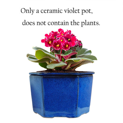 Dphagesy African Violet Pots 6 inch Hexagon Self-Watering Ceramic Violet Pots 4.50'' Opening (Blue)