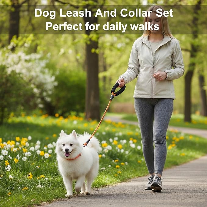 Dog Leash and Collar Set – 6 FT Strong Rope Leash with Padded Handle & Adjustable Nylon Collar Reflective for Small Medium Large Dogs (Orange, L)