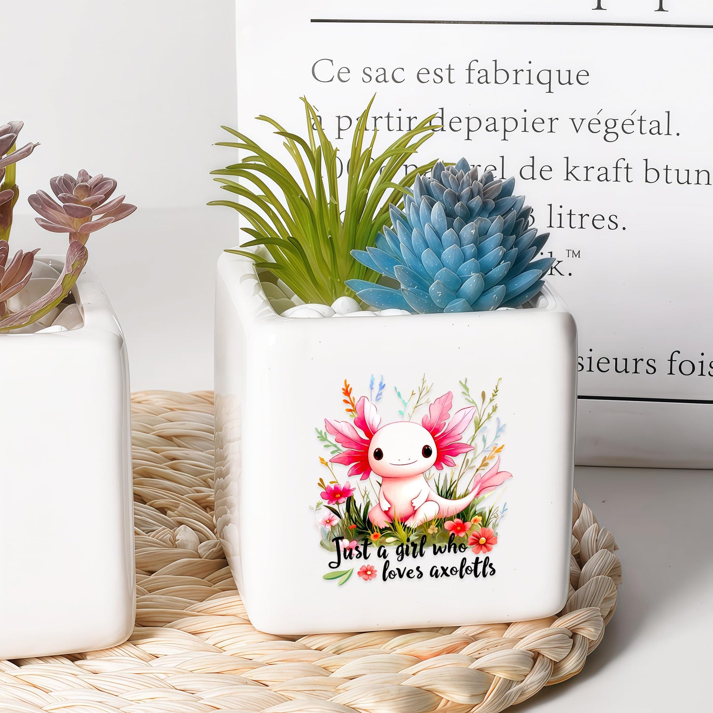 BJDAMAI Axolotl Succulent Planter Flower Plant Pot Small, Gifts for Women Teens Girls Kids, Axolotl Lovers Themed Stuff Accessories Things Decor Merch, Home Office Table Desk Decoration!