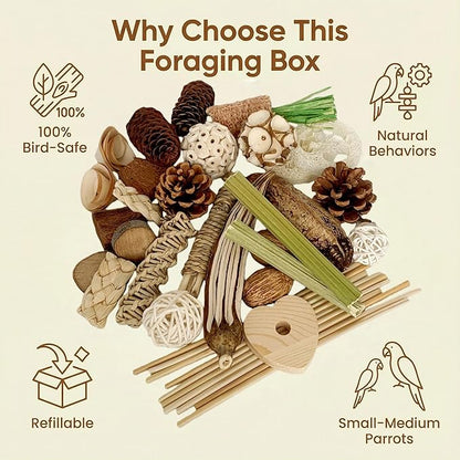 40PCS Natural Foraging & Chew Parrot Toy,Shredding Box for Parakeets, Cockatiels, Conures & Lovebirds and Other Small to Medium Birds (Large)