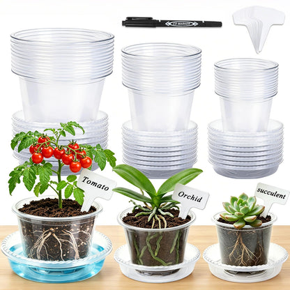 CAKKVDE 36 Pack Clear Nursery Pots with Saucers, 3.5/4/5 Inch High Transparency Plastic Plant Pots with Drainage Holes, Variety Pack for Propagation, Seed Starting, Succulents, Herbs and Vegetables