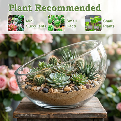 2Pack Slant Cut Bowl, Glass Terrarium, Glass Fish Bowl Vase, Flower Vase Centerpiece, Candy Dish, Fruit Jar (Big: Open 8.5" Height 6" x 3" ; Small: Open 5.75" Height 4" x 2")