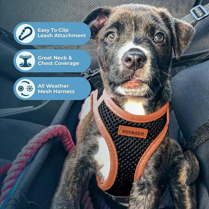 Best Pet Supplies Voyager Step-in Air All Weather Mesh Harness and Reflective Dog 5ft Leash Combo with Neoprene Handle, for Small, Medium and Large Breed Puppies - Set (Black/Orange Trim), Medium