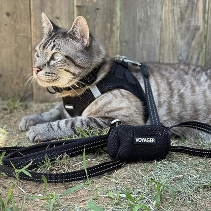 Best Pet Supplies Voyager Step-in Air All Weather Mesh Harness and Reflective Dog 5ft Leash Combo with Neoprene Handle, for Small, Medium and Large Breed Puppies - Black, X-Large