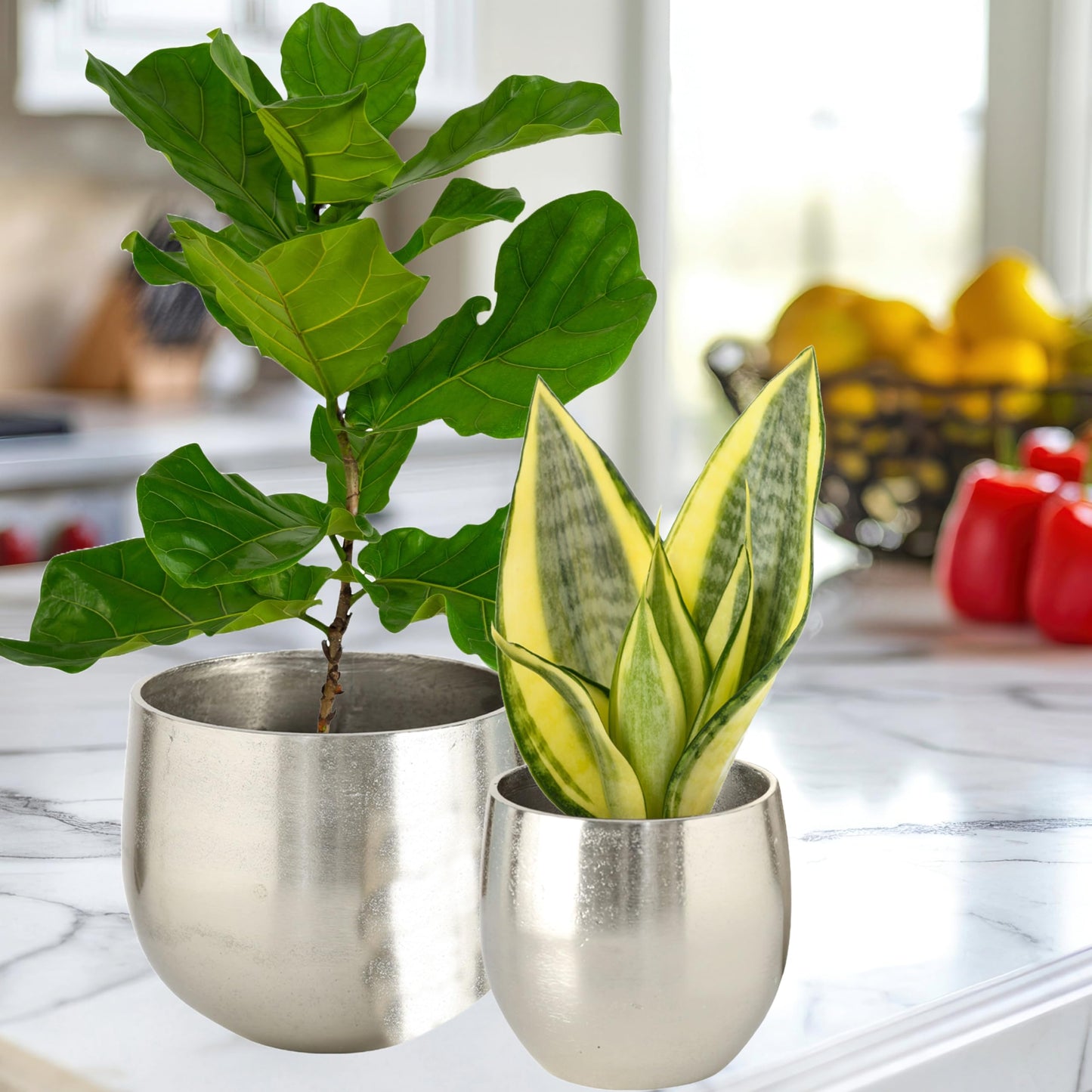WHW Whole House Worlds Crosby Street Bucket Style Cache-Pot Planters, Set of 2, Polished Silver Aluminum, 7.5 and 5.5 Inches Diameter