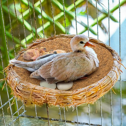 Eorbow 15 Packs Pigeon Nest Pads, Bird Breeding Mat for Chicken, Natural Coconut Fiber Bird Egg Mat, Nesting Bowl Box Pad for Parakeet Chicken, Pigeon Hatching Bedding Accessories
