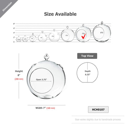 WGV Hanging Terrarium Globe, Width 7", Height 8", DIY Air Succulent Planter, Clear Glass Vase Orb with Flat Bottom, Candle Holder Outdoor Garden Decor, 6 Pieces