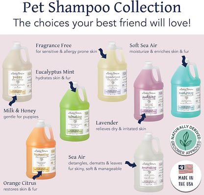 Bobbi Panter Nourishing Dog Conditioner Safflower Oil, Keratin, Shea Butter & Aloe Vera – Detangling Natural Formula for Soft, Smooth & Manageable Coat, 10:1 Concentrate, Made in USA, 1 Gallon
