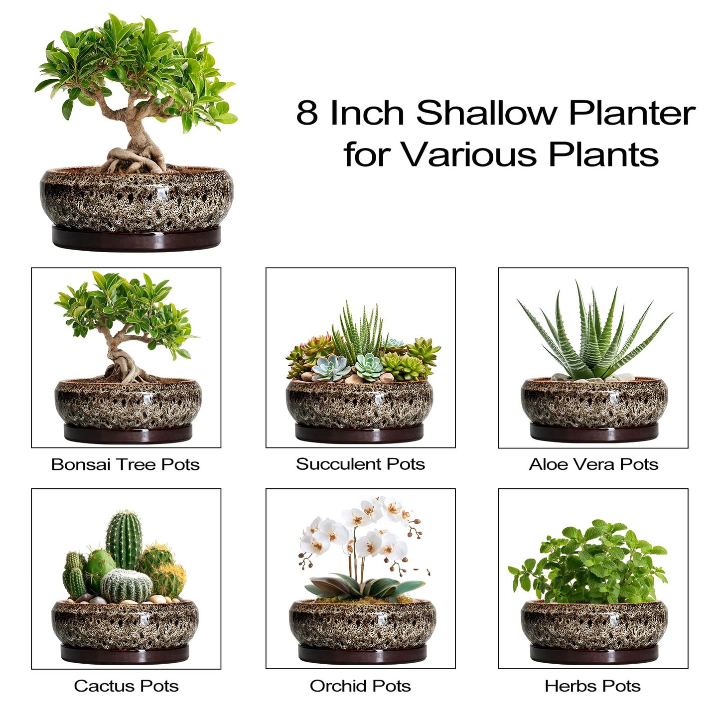 EPFamily Bonsai Pots - 8 Inch Ceramic Pots for Plants with Drainage Hole and Saucer, Round Succulent Pot, Bonsai Planters Indoor Outdoor, Shallow Planter Bowl, Patio Decor, Gardening Gift, White