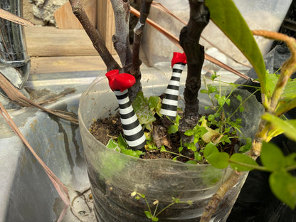 Wicked Witch Legs Mini Plant Pot Decor – Fun Halloween Planter, Spooky Home Decor, Unique Planter for Indoor & Outdoor Plants