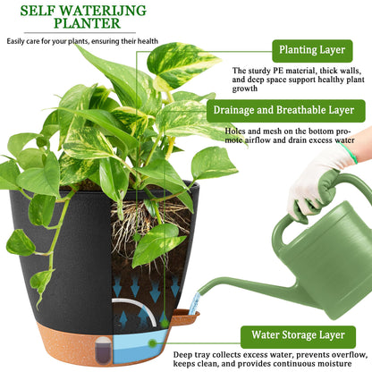 Fielda 2 Pack 8 Inch Pots for Plants Indoor, Plastic Self Watering Planters with Drainage Holes, Water Level Indicator & Deep Reservoir, Decorative Flower Pots Indoor Outdoor Use (Black