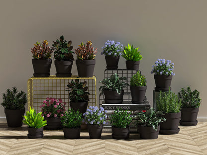 36 PCS Small Mini Black Clay Pots with Drainage Holes, 2.5inch Terra Cotta Pot Clay Ceramic Pottery Planter, Succulent Nursery Pot/Cactus Plant Pot, for Indoor/Outdoor Plants, Crafts, Wedding Favor