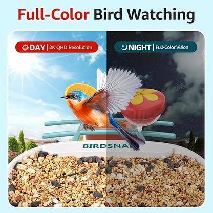 birdsnap® TUC Bird Feeder with Camera 2K HD Live with 32GB Card Auto Detect & Notify AI Identify Camera Birds Feeders Solar Powered Wireless Outdoors Backyard Gift for Mom Dad Birds Lover, 2.4G WiFi